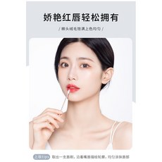 블랜딩립브러쉬