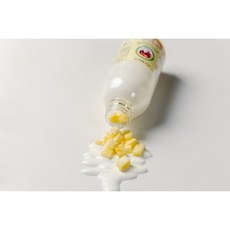 룰루요거트 2023베스트상 아삭아삭 생사과 콸콸 요거트 500ml 그릭요거트, 1개