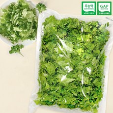 바른팜 대용량 샐러드 야채 / 스마트팜 유러피안 채소 샐러드, 1.대용량 유러피안 샐러드 500g, 1개