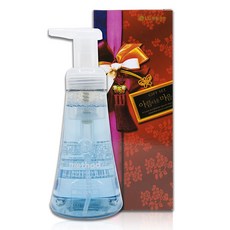 데일리케어 메소드 거품형 핸드워시 씨미네랄 300ml starmall*53675160gP, 1개, 본상품선택