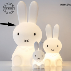 미스터마리아미피