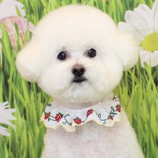 하니펫 반려동물 귀요미스카프 체리자수레이스, 노랑딸기, 1개