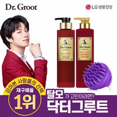 닥터그루트두피브러쉬