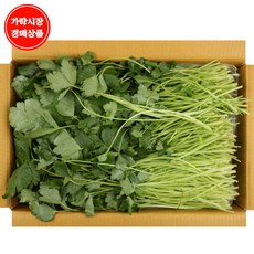 참나물2kg