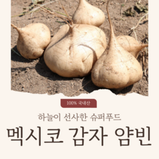 국내산] 산지직송 히카마 멕시코감자 3kg 5kg 10kg RS930 슈퍼푸드선정 히카마감자, 1개