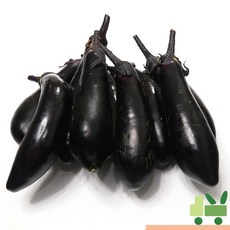 사라상회 가지 2Kg (상), 1박스