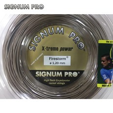 시그넘프로파이어스톰