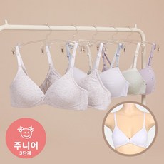 애니바디 [교복템]주니어 3단계 브라-도트 멜란지 ANVJ20A25