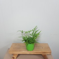 e539c7b07ce2b43b77d8bb09638c8e7b892f62808e40f8123cf106b39110.jpg