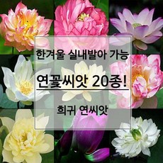 90c244d64fe77761b04bb8e2b09663aa2153275ec9d16888100c58dd7f01.jpg