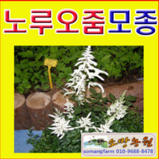 707af5ed8ee0580b3e5d6c6a77f1f902a2ec319cbc7db10a8a50e03526e6.png