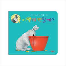 글자없는그림책