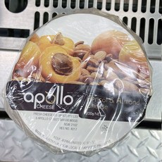 아폴로x