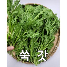 야채맘 싱싱한 쑥갓 4kg, 1개