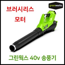 그린웍스 40v 신형엑시얼 충전 블로워 낙엽청소기 충전식 브로워 전동 송풍기 제설기