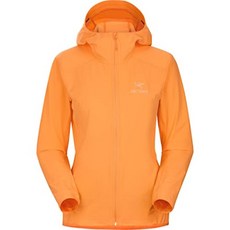 ARCTERYX (아크테릭스) 감마 SL 후디 여성용 29481