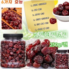 2캔/4캔/6캔 [관절염 통풍 개선] 말린 체리 무설탕 건체리 말린 과일 간식 체리건조, 2캔 총0.5kg, 2개