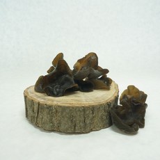 신선한 국내산 정품 목이버섯, 1박스, 목이버섯(생물) 400g