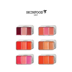 스킨푸드립앤치크