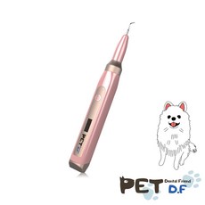 스켈소닉