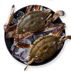 꽃게제철