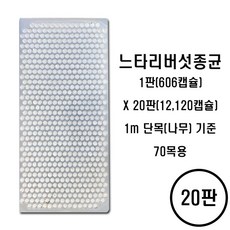 친환경마켓 고급 느타리버섯종균 20판 (나무70목용) 느타리 표고 성형 버섯 종균 텃밭 주말농장, 1개