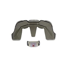 아라이스포일러