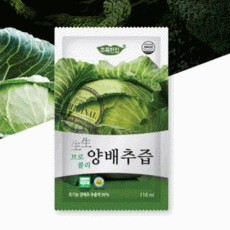 다이어트의정석