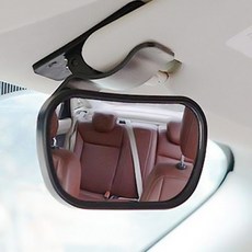 신생아후방거울