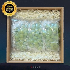 [바먹농장] 명품 명절선물세트 혼합과일선물세트 실속과일선물 당도선별, 1개, [08] 명품 샤인머스켓 세트