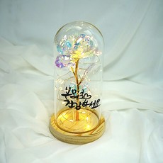 하프돌램프