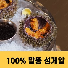 성게알 우니 청정지역 말똥성게알 실중량 300g, 1개