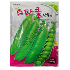 스파클 완두콩 씨앗 500g 대포장 대용량 반되 알이크고 조생종 애콩 보리콩종자 미래종묘, 1개