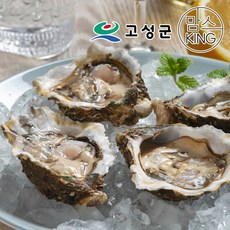 [공룡나라]동성수산 국산 동성수산 석화 10kg 경남 고성, 1개