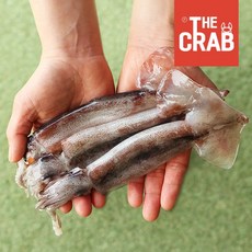 더꽃게 동해안 총알오징어, ★초특가★1kg (냉동/9-12미/통찜가능)