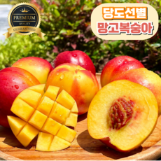 [당도선별] 프리미엄 망고복숭아 산지직송, 1개, 대과 2kg