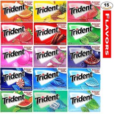 Trident TRIDENT Sugar Free Chewing Gum 트리덴트 무설탕 츄잉껌 15팩 (총 210개입)