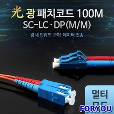 한솔dp100