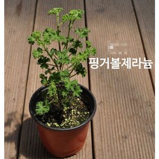 fbfe169f8daeb30fd2f99bda03daaadf2122ca0fd82a6fc2fd0cc69fcf63.jpg