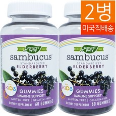 Natures Way 네이쳐스 웨이 어린이 엘더베리 삼부커스 구미 60 2병, 60정