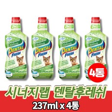 캣덴탈워터