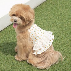 떼아몽