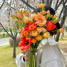 아르띠콜로 주말배송 생화 정기배송 꽃구독 매일 색다른 맞춤컬러, 1개, S (꽃 6~8송이)
