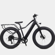 2024 알톤 코디악26FAT 500W 시마노 8단 유압식 전기 자전거, 무광블랙(PAS스로틀겸용(듀얼방식))