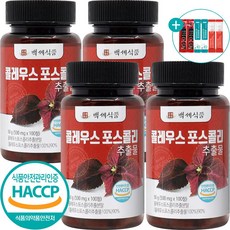 kfc스콜쳐