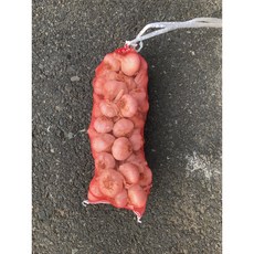 24년 수확한 마늘 잘 마른 통마늘, 1개, 1kg