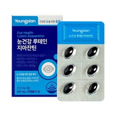 영진약품 영플랜 눈건강 루테인지아잔틴 500mg*30캡슐, 1개, 30정
