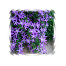 4dbf38d4ba20a5ed0c753bf4caa31bb644eab98a019e5cb11e0c2d2461a5.png