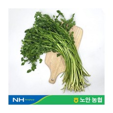 신선세척 국내산 미나리 200g x 10팩, ONE COLOR, ONE SIZE