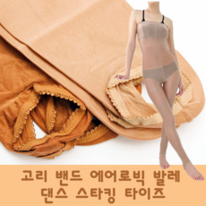 에어로빅전신타이즈
